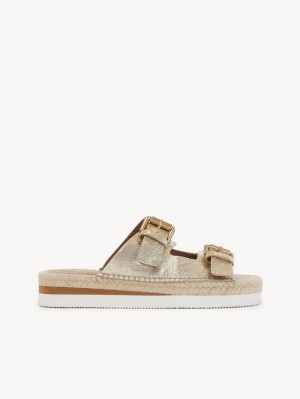 Sandalias Chloe Glyn Plataforma Alpargata Scarlatto | CHE-SR14831