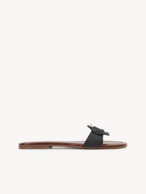 Zapatos Planos Chloe Chany Mule Negras | CHE-SR14838