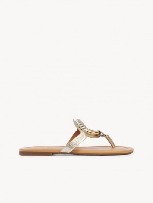 Zapatos Planos Chloe Hana Flip-flop Plateadas | CHE-SR14829