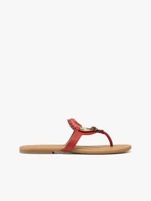 Zapatos Planos Chloe Hana Flip-flop Rojas | CHE-SR14817