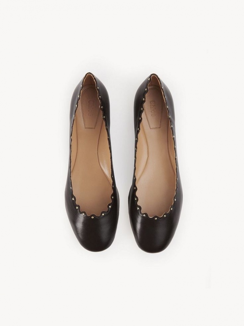 Ballet Flat Chloe Lauren Chocolate | CHE-SR14253