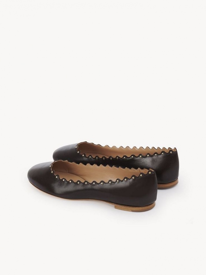 Ballet Flat Chloe Lauren Chocolate | CHE-SR14253