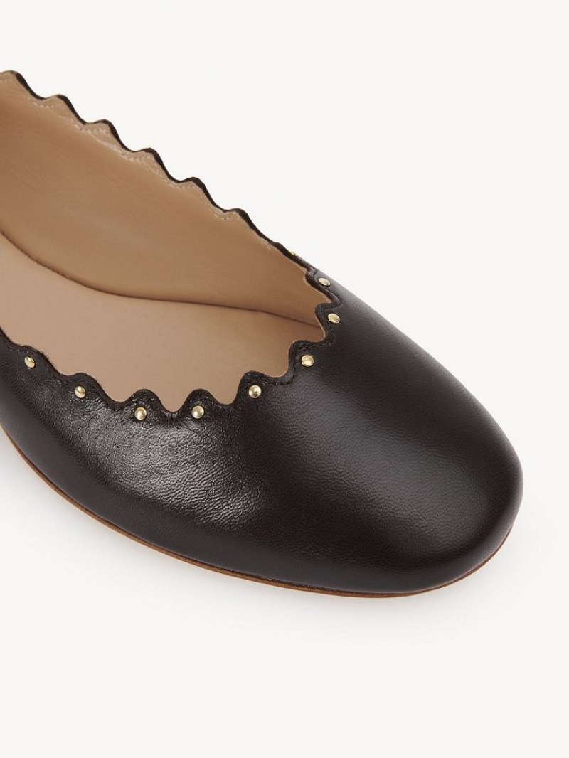 Ballet Flat Chloe Lauren Chocolate | CHE-SR14253