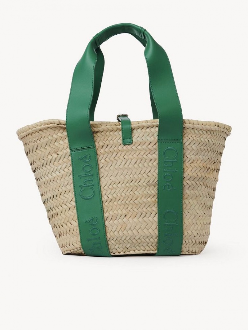 Baskets Chloe Sense Medium Verde | CHE-SR13641