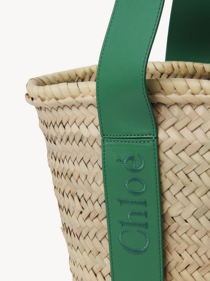 Baskets Chloe Sense Medium Verde | CHE-SR13641