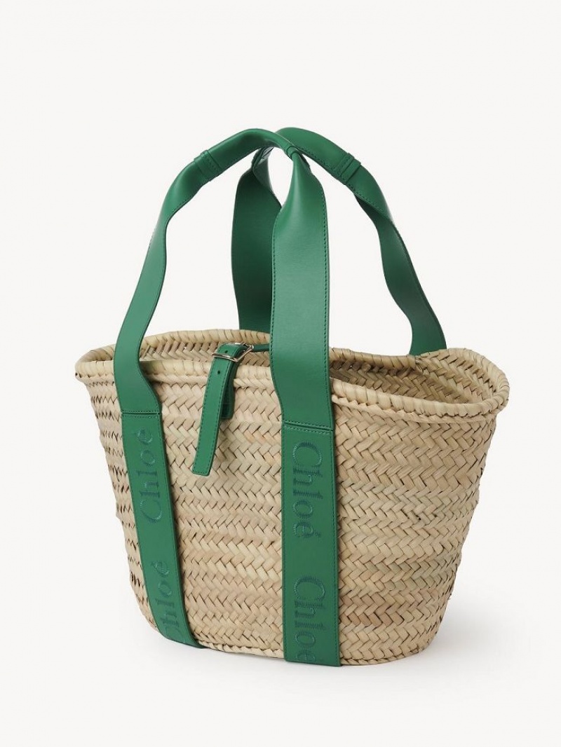 Baskets Chloe Sense Medium Verde | CHE-SR13641