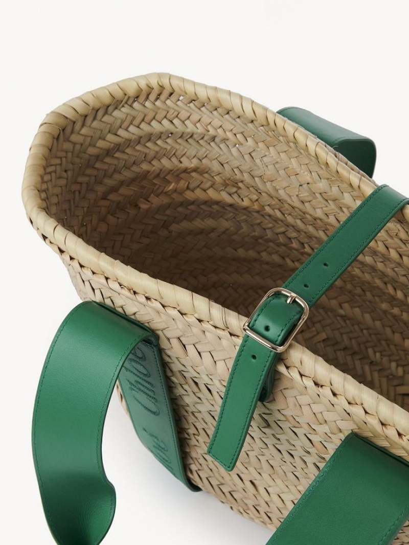 Baskets Chloe Sense Medium Verde | CHE-SR13641