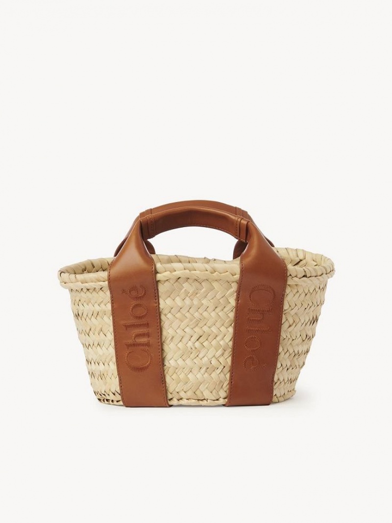 Baskets Chloe Sense Small Marrones | CHE-SR13654