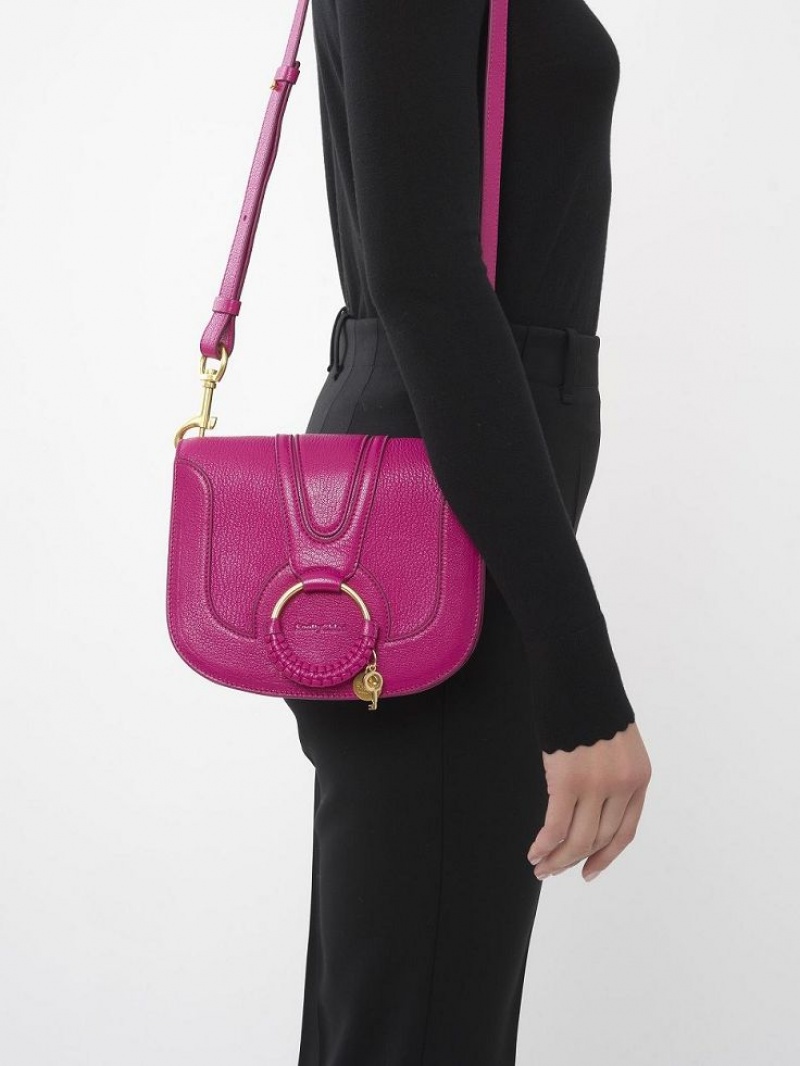 Bolsa De Hombro Chloe Hana Rosas | CHE-SR14615