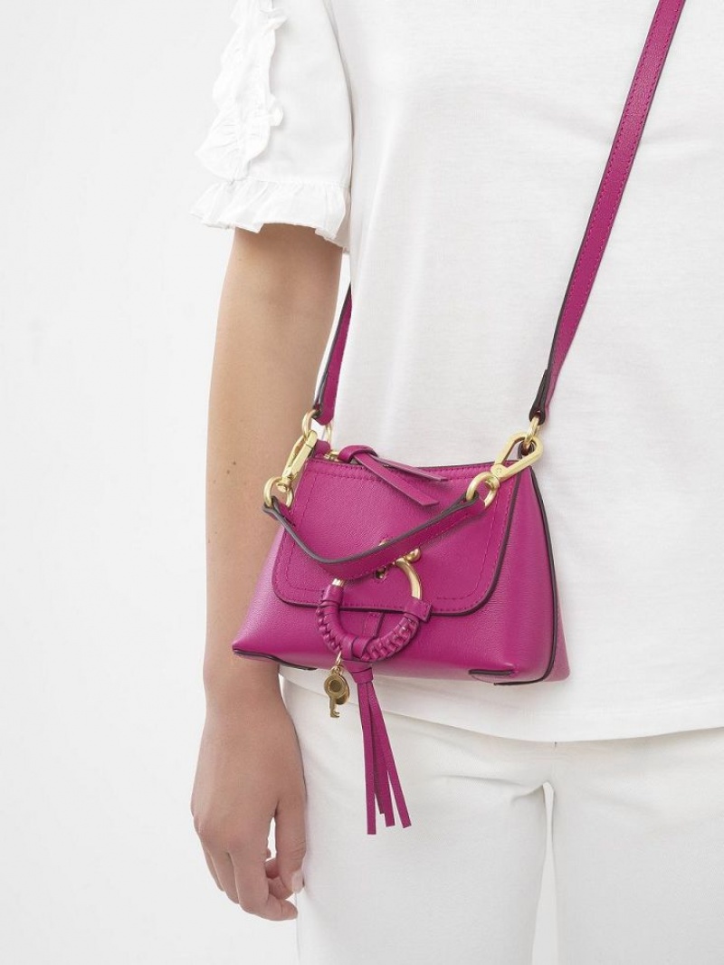 Bolsa De Hombro Chloe Joan Mini Rosas | CHE-SR14694