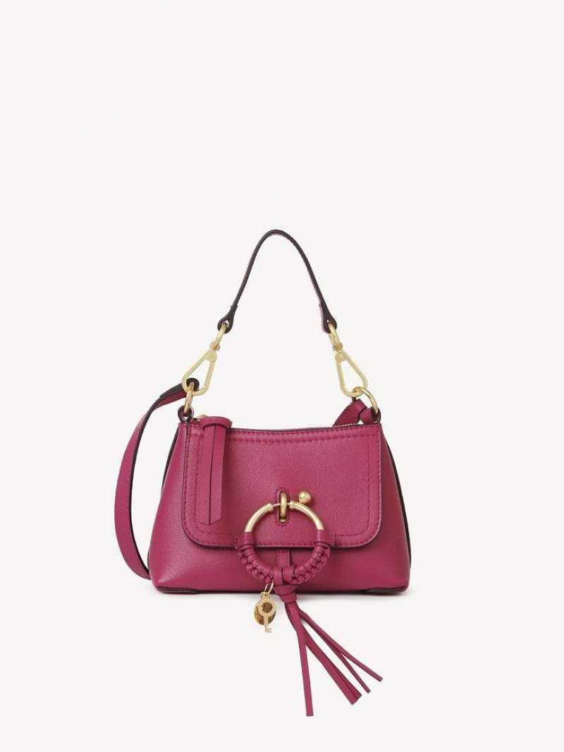 Bolsa De Hombro Chloe Joan Mini Rosas | CHE-SR14694