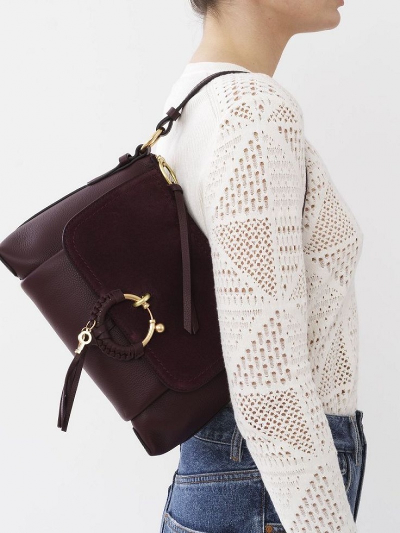 Bolsa De Hombro Chloe Joan Small Burdeos | CHE-SR14650