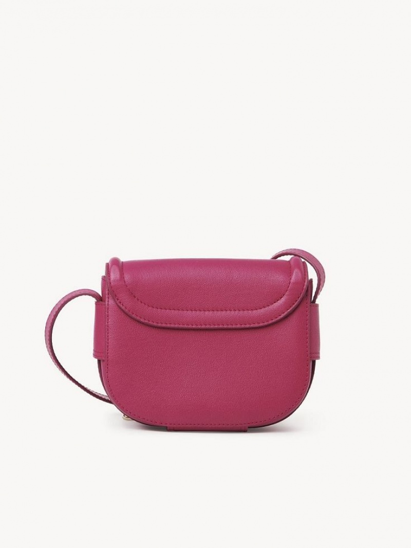 Bolsa De Hombro Chloe Mara Small Rosas | CHE-SR14617