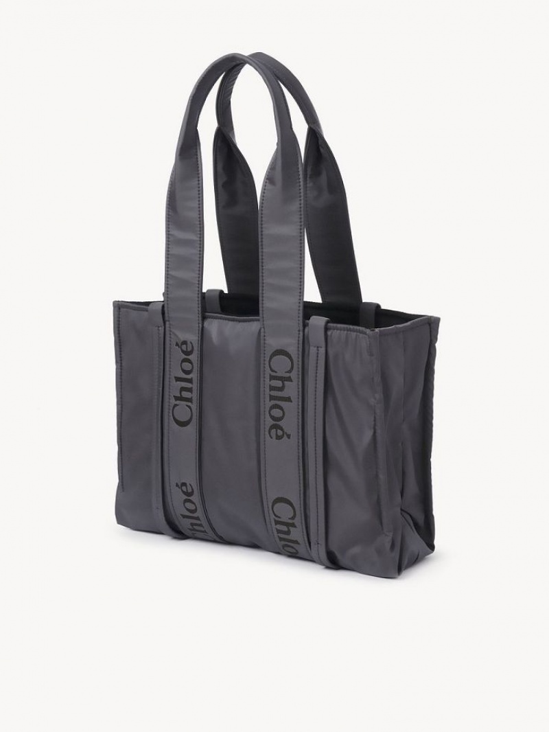 Bolsa De Hombro Chloe Medium Woody Gris | CHE-SR13427