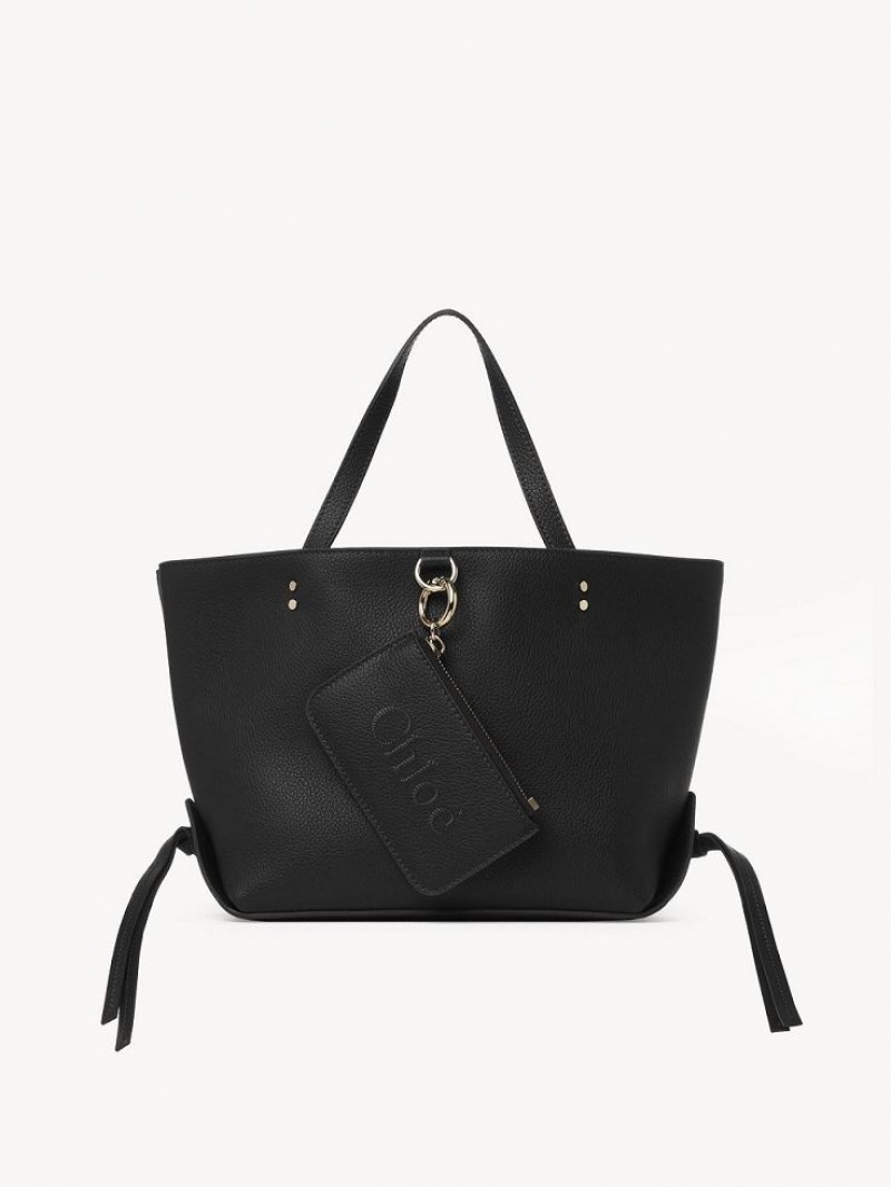 Bolsa De Hombro Chloe Sense Small East-west Negras | CHE-SR13420