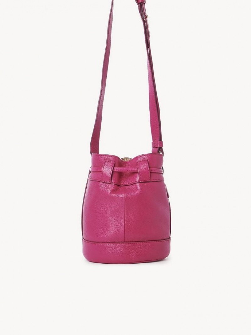 Bolsa De Hombro Chloe Vicki Small Bucket Rosas | CHE-SR14610