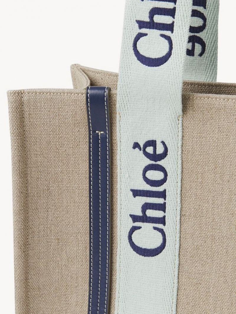 Bolso Tote Chloe Medium Woody Verde Azules | CHE-SR13365