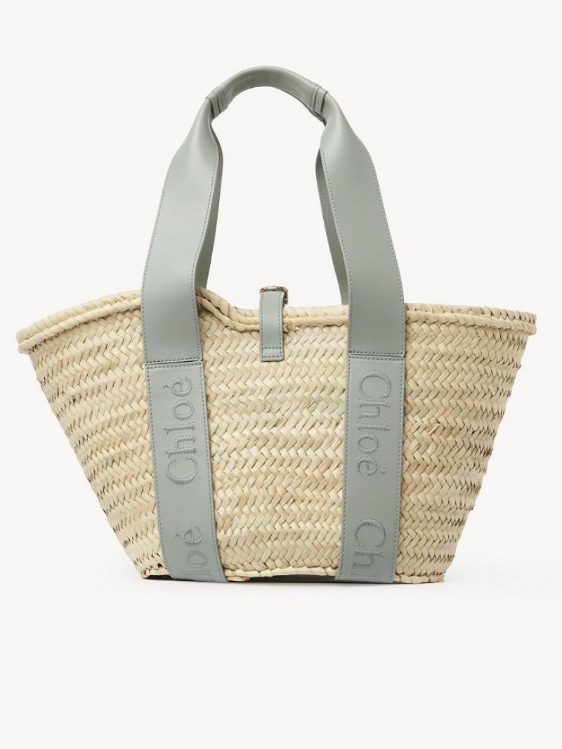 Bolso Tote Chloe Sense Medium Basket Verde | CHE-SR13383