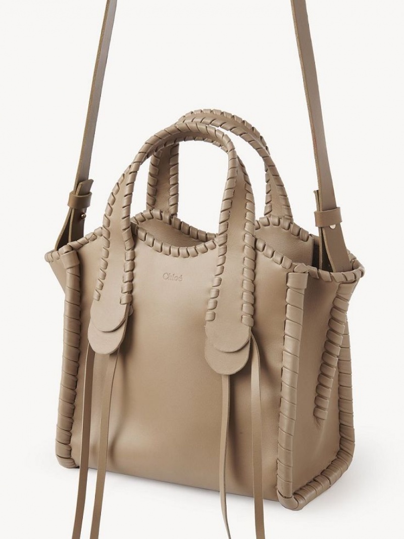 Bolso Tote Chloe Small Mony Marrones | CHE-SR13400