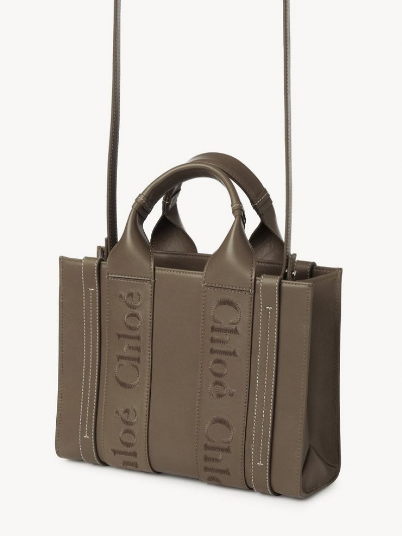 Bolso Tote Chloe Small Woody Verde | CHE-SR13339