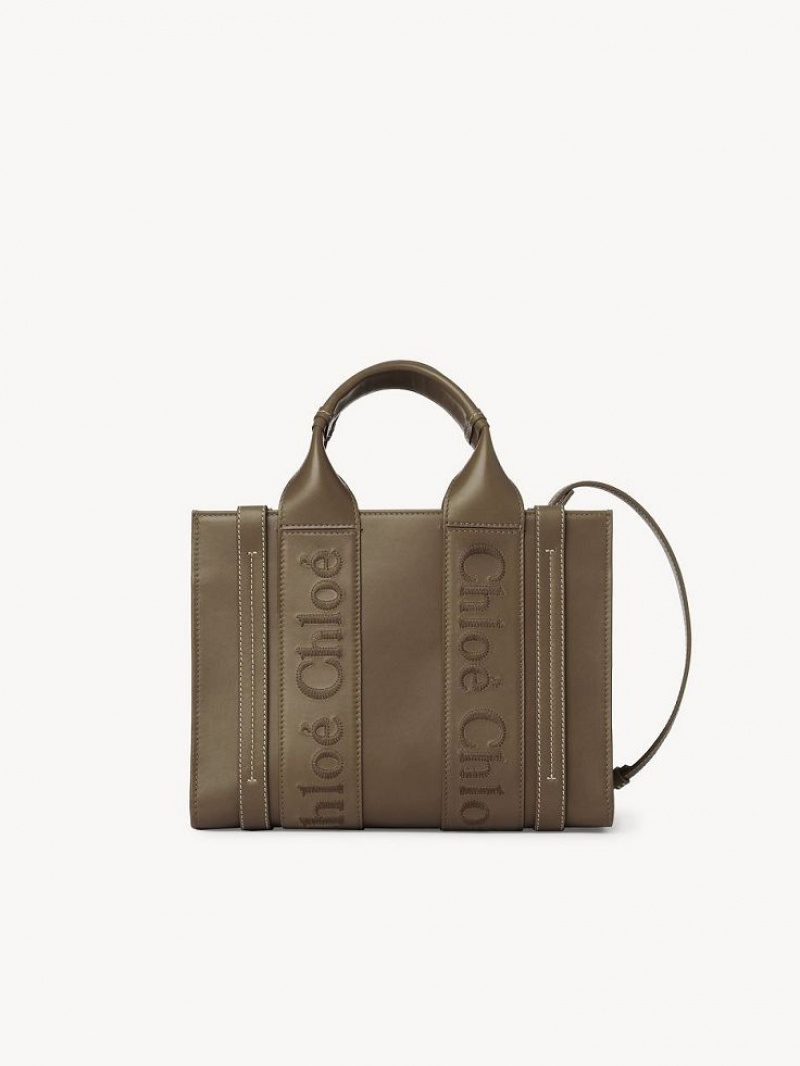 Bolso Tote Chloe Small Woody Verde | CHE-SR13339