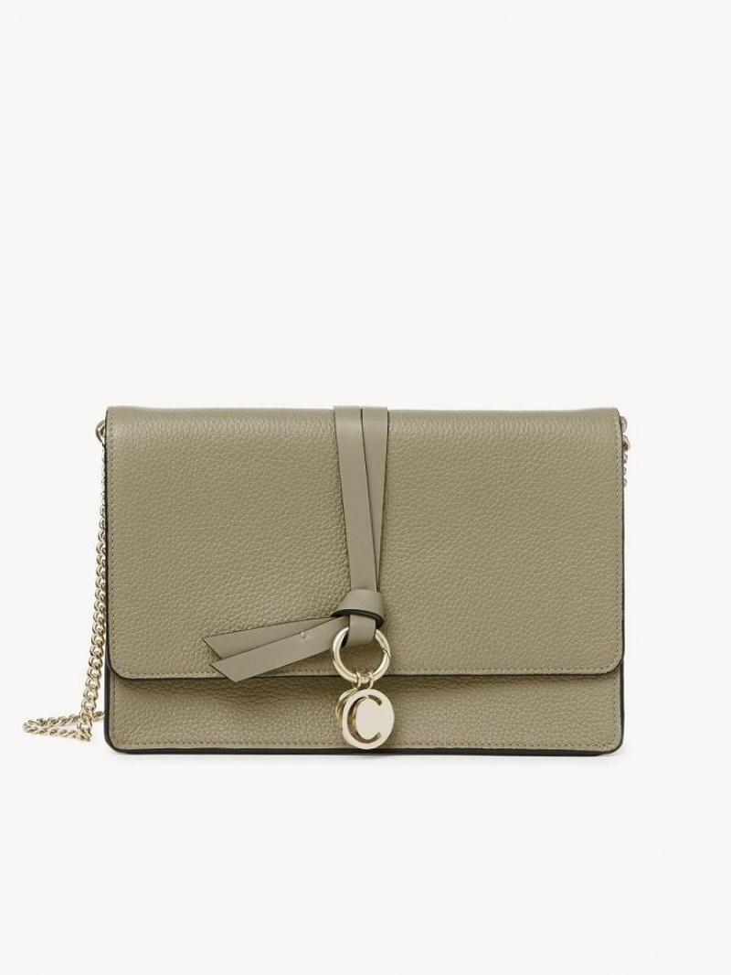 Bolsos Cruzados Chloe Alphabet Clutch Verde | CHE-SR13481