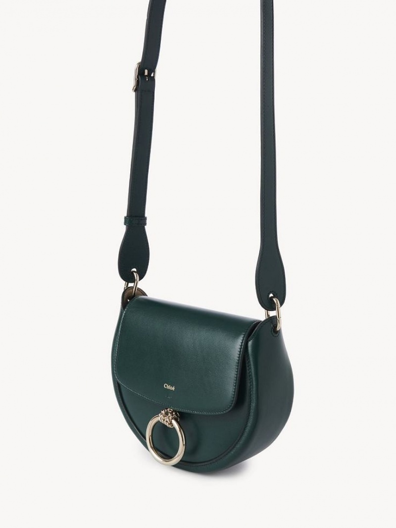 Bolsos Cruzados Chloe Arlène Small Crossbody Verde | CHE-SR13463