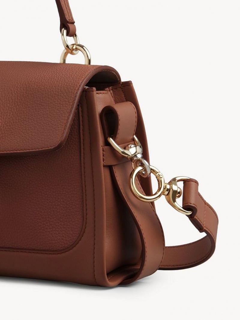 Bolsos Cruzados Chloe Mini Tess Day Marrones | CHE-SR13479