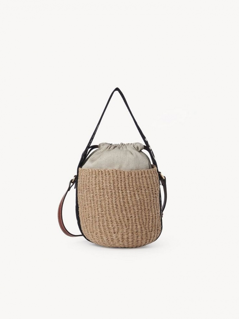 Bolsos Cruzados Chloe Small Woody Basket Negras Beige | CHE-SR13566