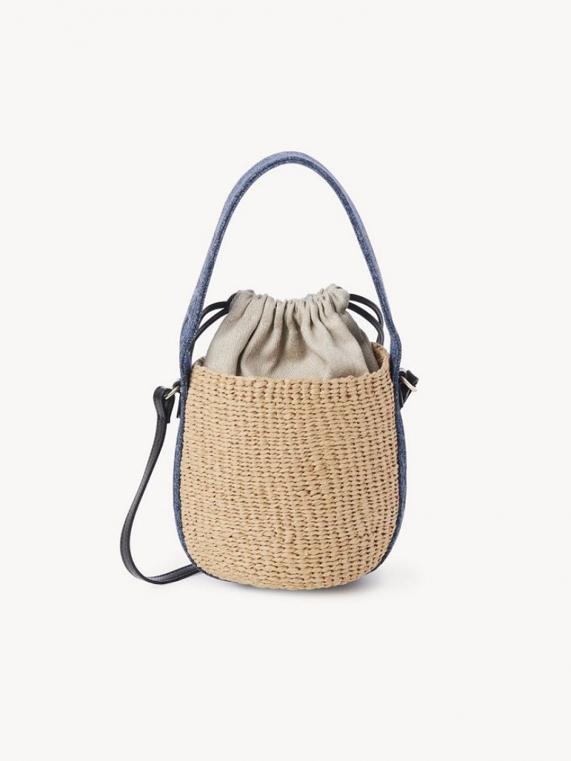 Bolsos Cruzados Chloe Small Woody Basket Azules | CHE-SR13608