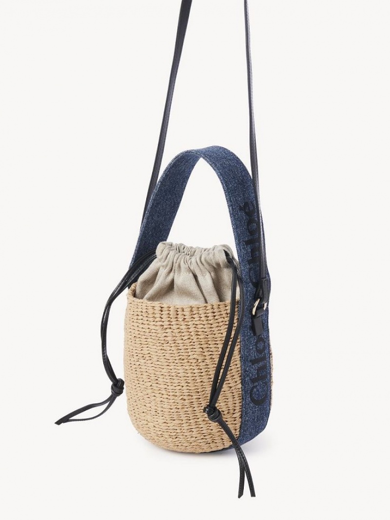 Bolsos Cruzados Chloe Small Woody Basket Azules | CHE-SR13608