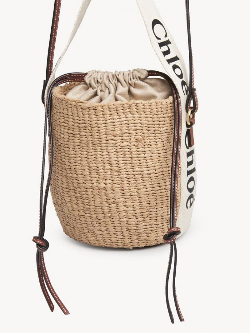 Bolsos Cruzados Chloe Small Woody Basket Blancas | CHE-SR13609