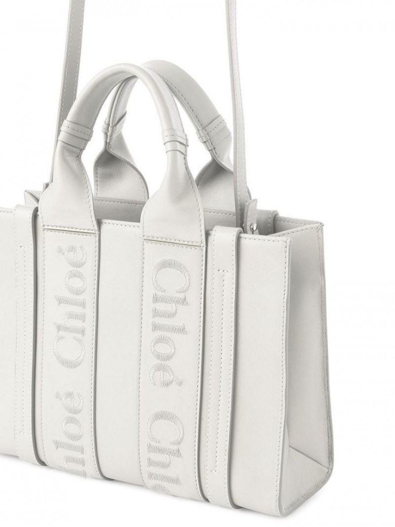 Bolsos Cruzados Chloe Small Woody Blancas | CHE-SR13541