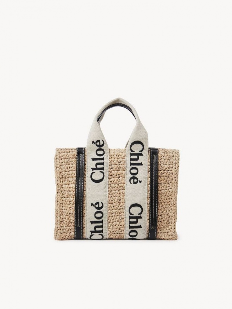 Bolsos Cruzados Chloe Small Woody Marrones | CHE-SR13625