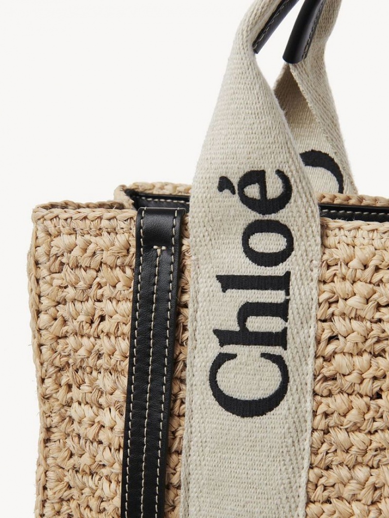 Bolsos Cruzados Chloe Small Woody Marrones | CHE-SR13625