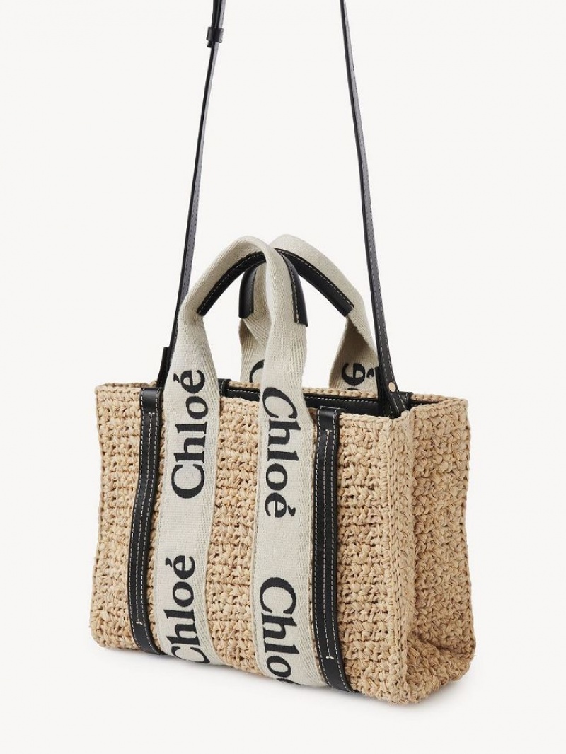 Bolsos Cruzados Chloe Small Woody Marrones | CHE-SR13625