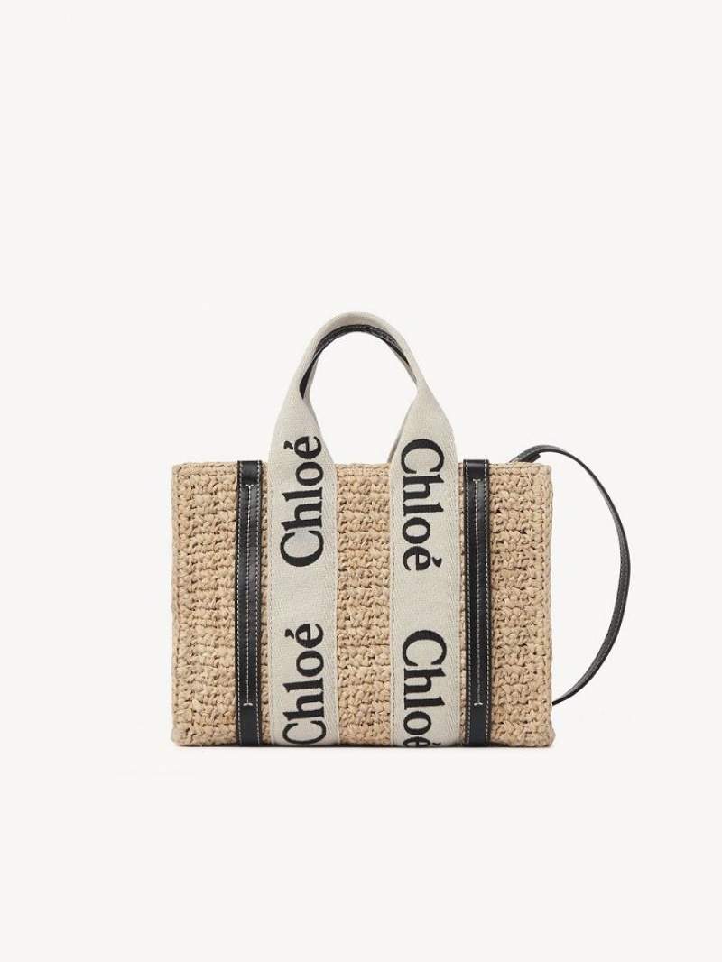 Bolsos Cruzados Chloe Small Woody Marrones | CHE-SR13625