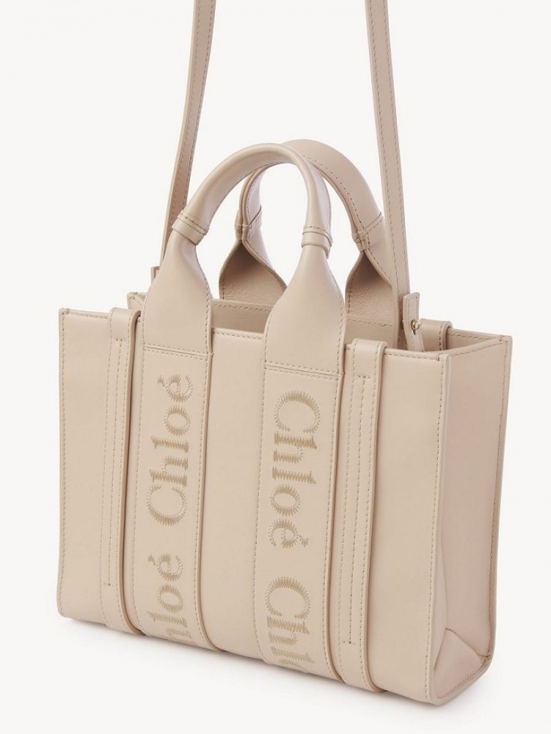 Bolsos Cruzados Chloe Small Woody Rosas | CHE-SR13556