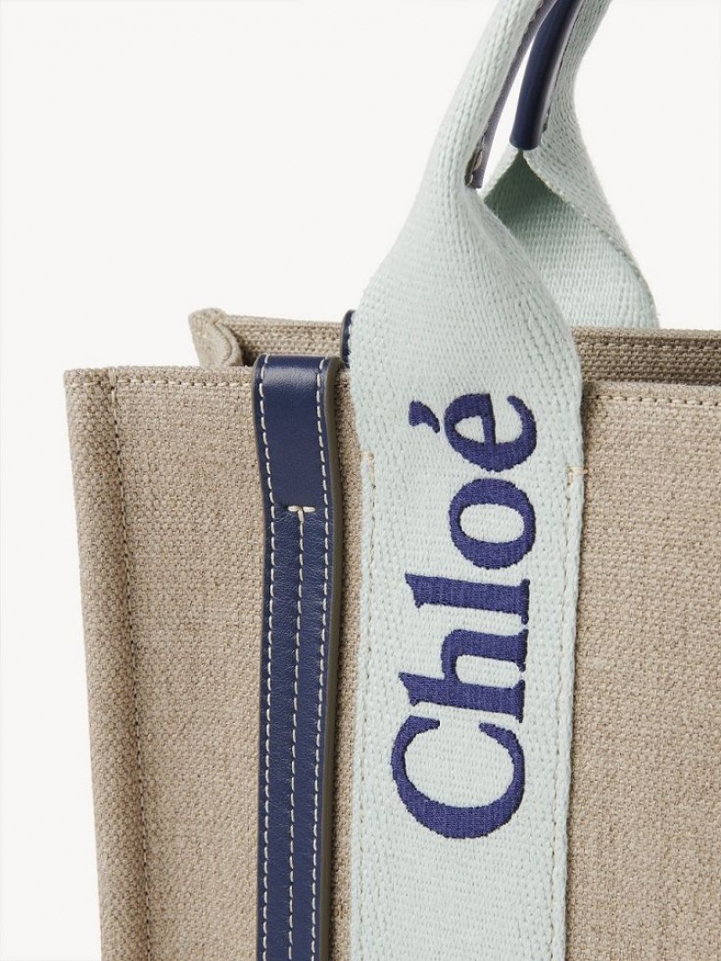 Bolsos Cruzados Chloe Small Woody Verde Azules | CHE-SR13568