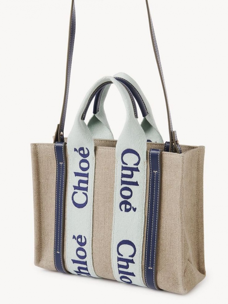 Bolsos Cruzados Chloe Small Woody Verde Azules | CHE-SR13568