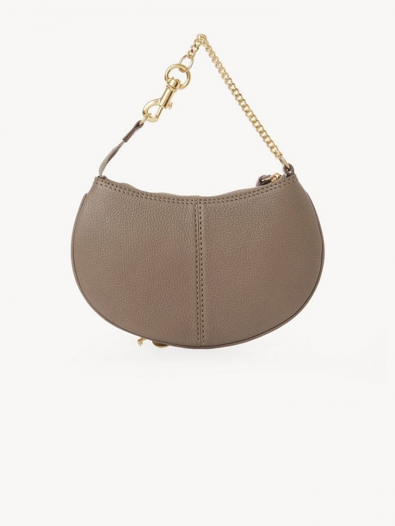 Bolsos Mini Chloe Hana Clutch Gris | CHE-SR14769