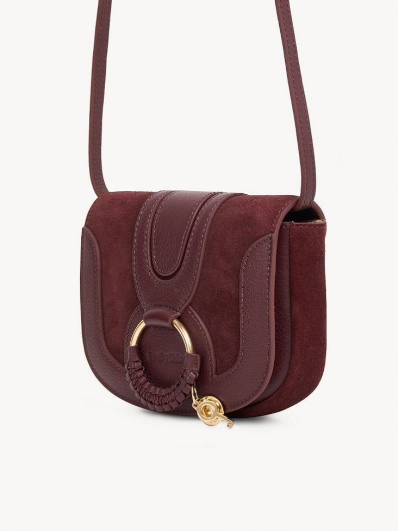 Bolsos Mini Chloe Hana Marrones | CHE-SR14725