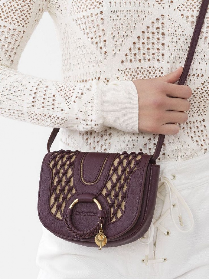 Bolsos Mini Chloe Hana Marrones | CHE-SR14759