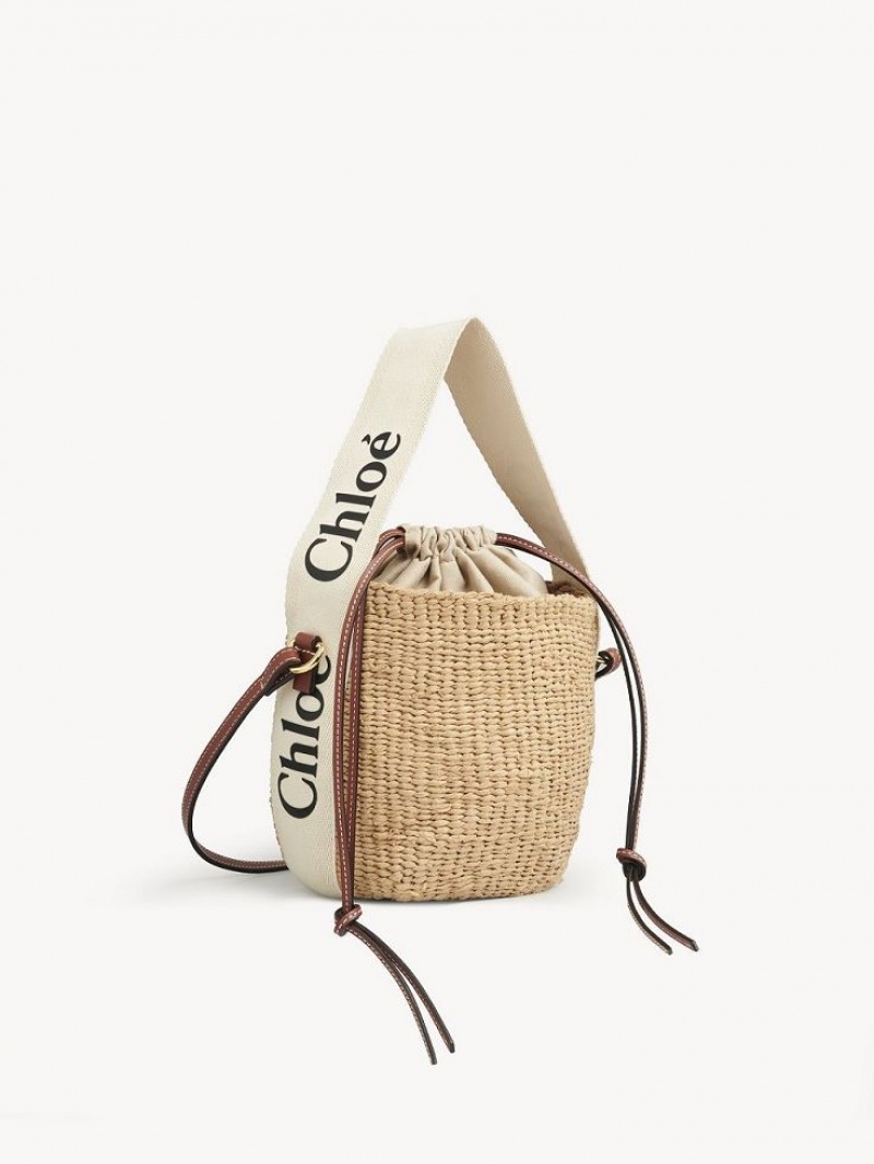 Bolsos Mini Chloe Small Woody Basket Blancas | CHE-SR13659