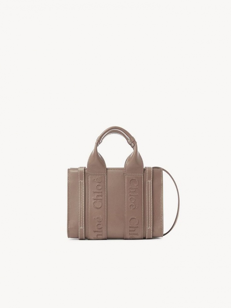 Bolsos Mini Chloe Woody Tote 1 Marrones | CHE-SR13728