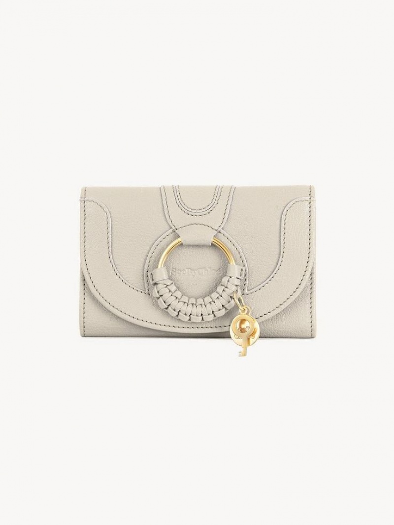 Carteras Pequeñas Chloe Hana Beige | CHE-SR14904