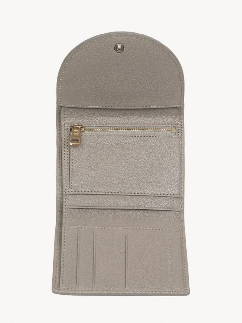 Carteras Pequeñas Chloe Hana Trifold Gris | CHE-SR14901