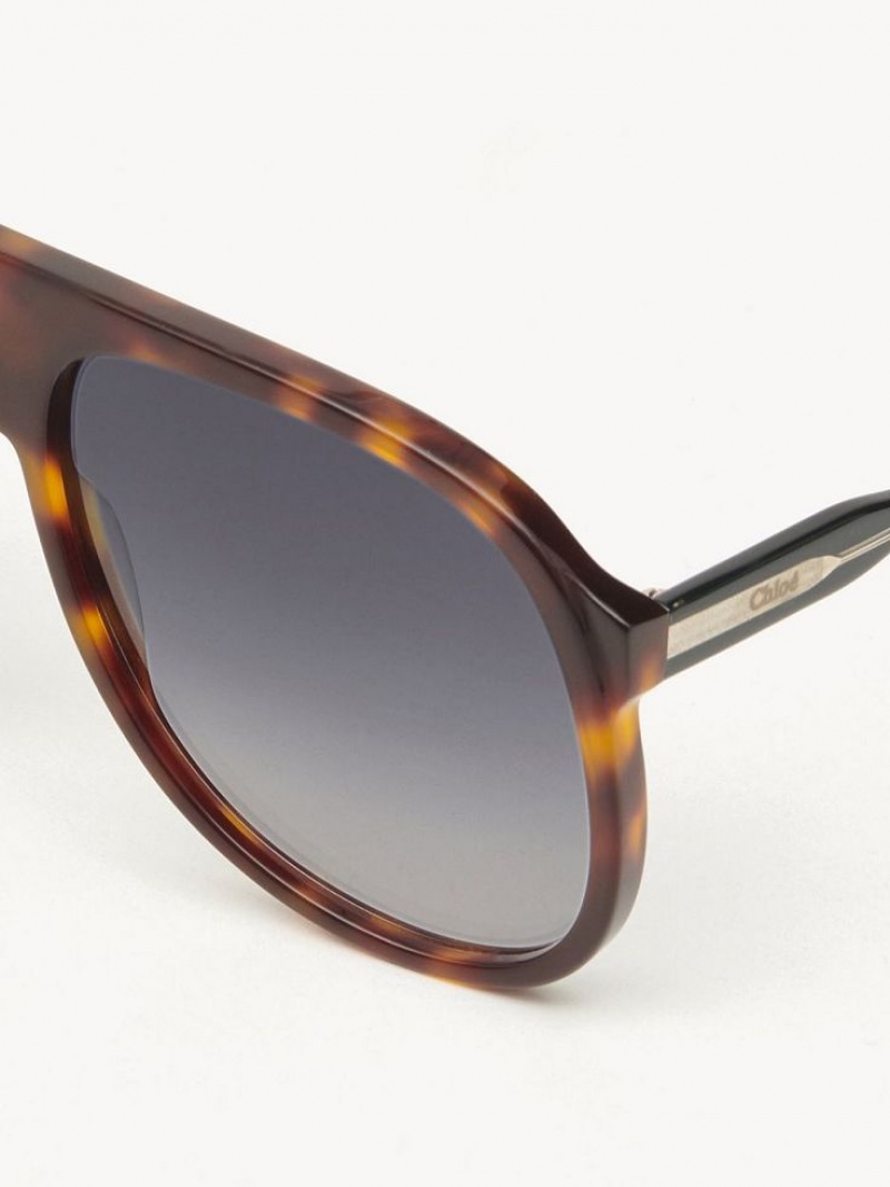 Gafas de Sol Chloe Dannie Negras | CHE-SR14569