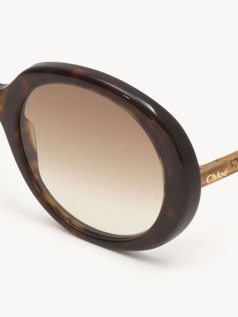 Gafas de Sol Chloe Esther Marrones | CHE-SR14529