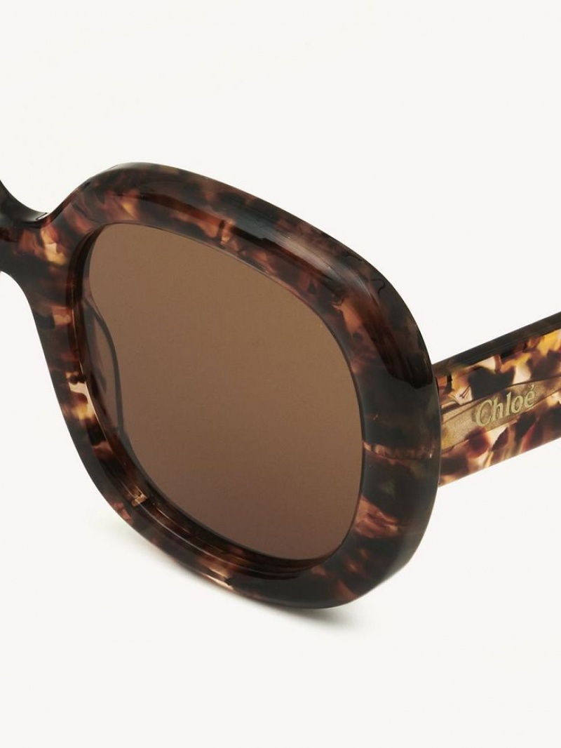 Gafas de Sol Chloe Gayia Marble Havana | CHE-SR14578